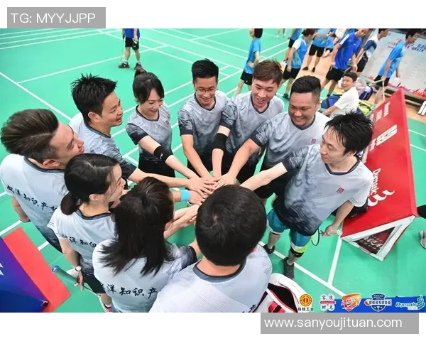 西安羽毛球队的团队协作与战术配合深度分析与探讨