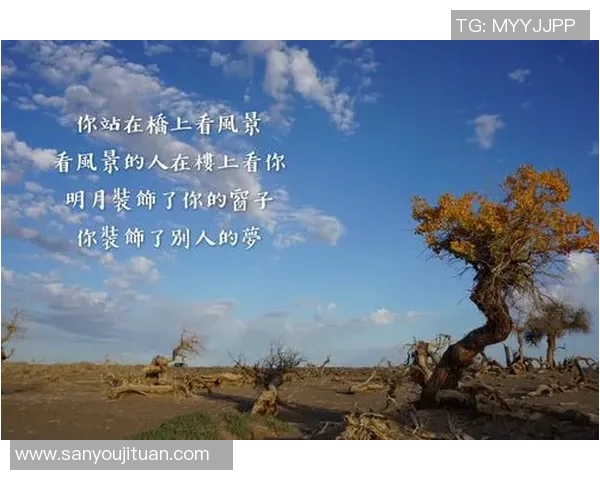 赵伟专访：从初学者到攀岩高手的心路历程与成长故事