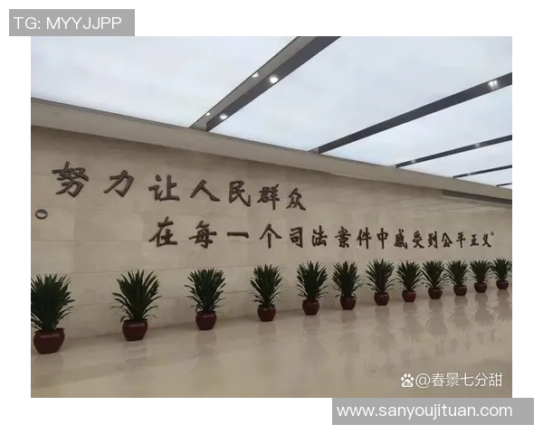 法律视角下的社会责任与道德义务如何影响现代司法公正的实现